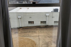 189005589_4325462324182941_8687516319439873751_n